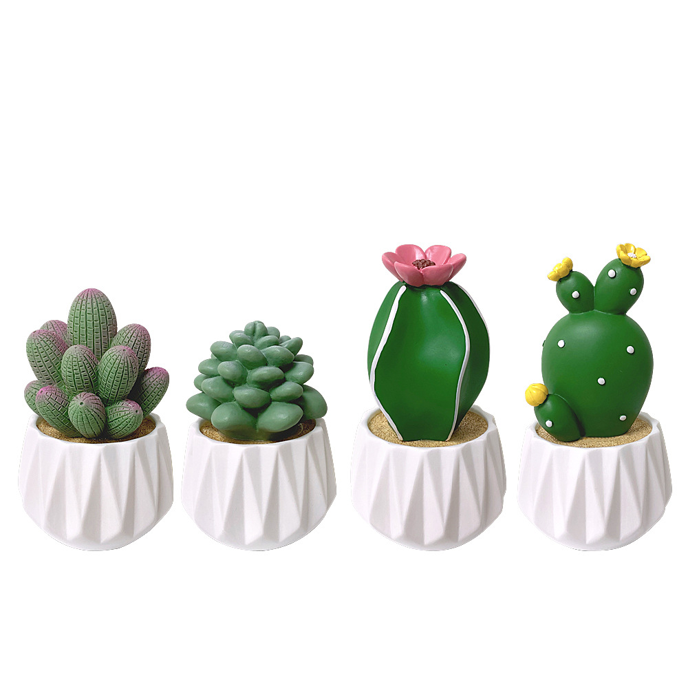 Cactus Decoration B